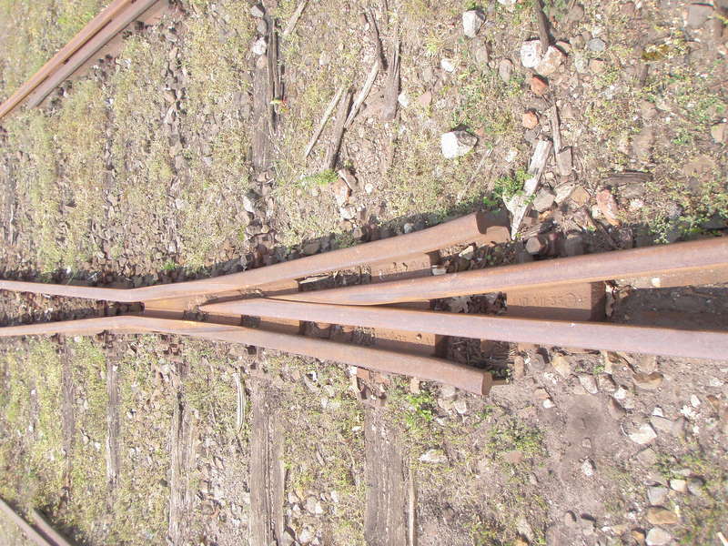P5240019