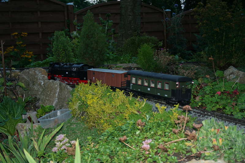 Bild_213