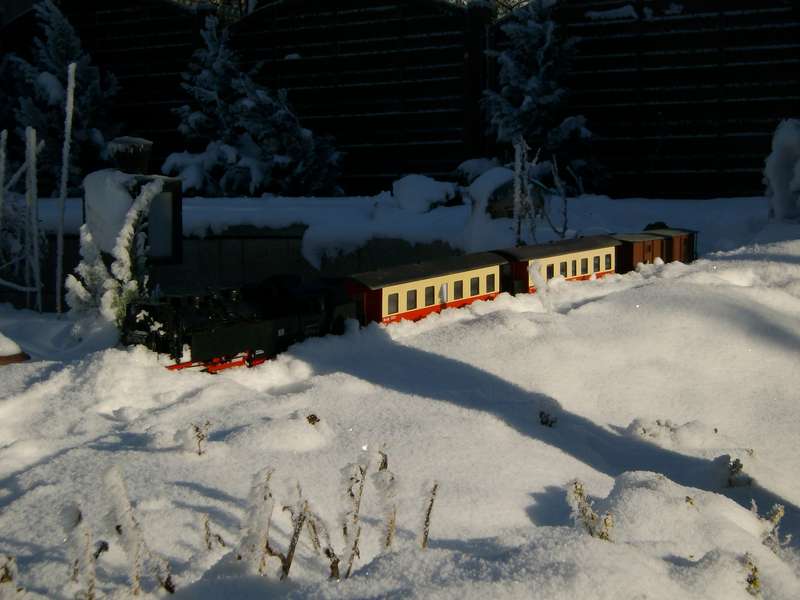 IMGP0230