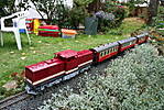 3394Bild_1671.jpg