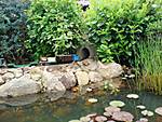 3410DSC02263.JPG