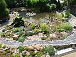 3410DSC02324.JPG