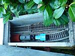 3410DSC02685.JPG