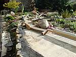 3410DSC02969.JPG