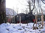 2585Winter_11.jpg