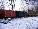 2585Winter_12.jpg