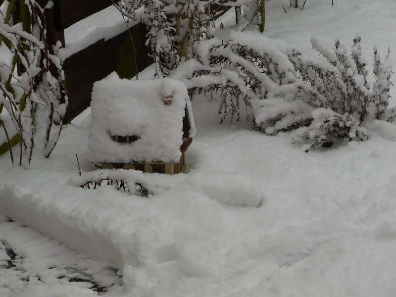Schneechaos