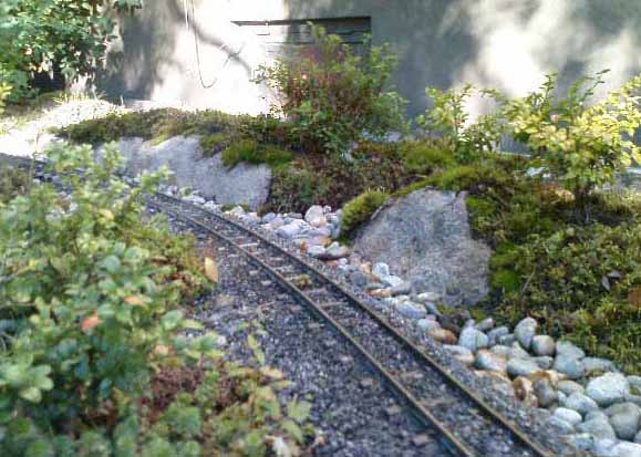 on_the_line