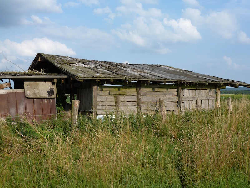 Schuppen1
