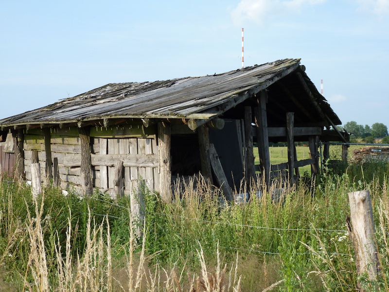 Schuppen2