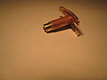510IMG_3006.JPG