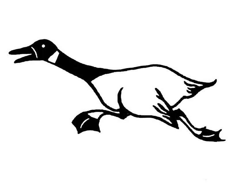 LogoGoose004