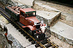 2696Waldohreule_Gew_lle3.jpg