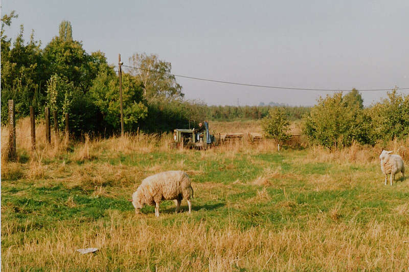 idylle