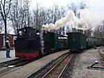 1519100_1247.jpg