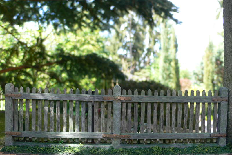 Rückseite