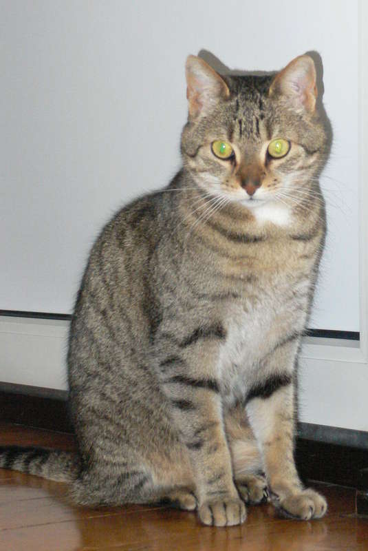 Leo