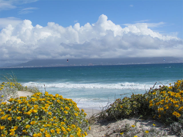 Bay_2