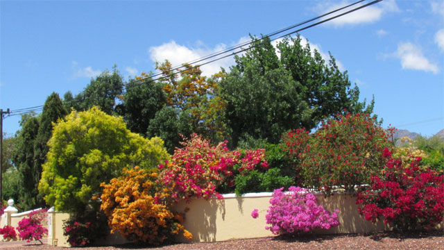 Gartenroute