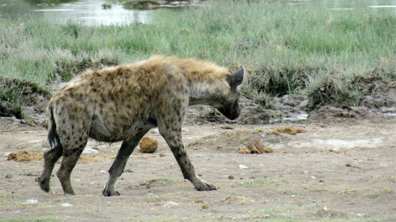 Namibia_10