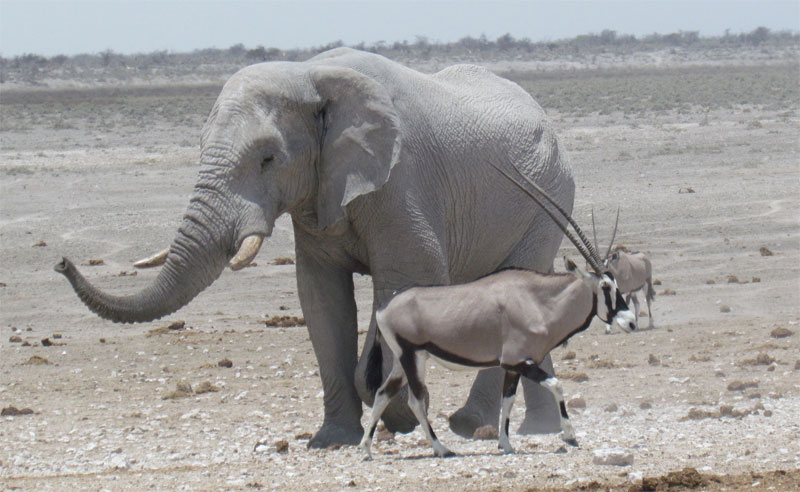 Namibia_9