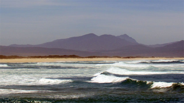 Surfwellen