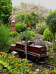 364IMG_0011.jpg