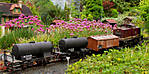 364IMG_0012.jpg