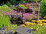 364PIC_0016.jpg