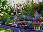 364PIC_0020.jpg