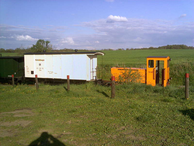 milchkühler