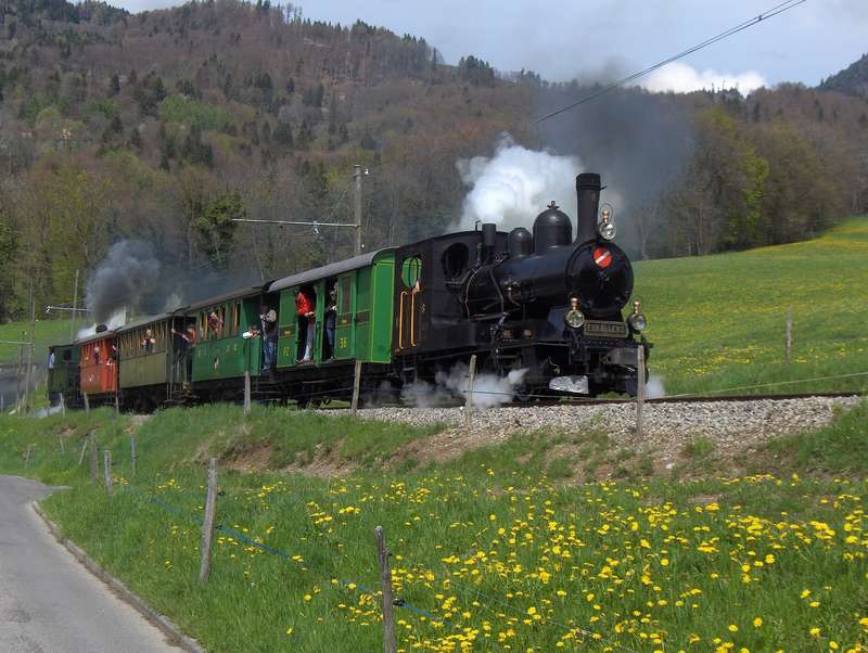 Bergfahrt durch Frühlingswiesen