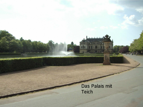 MLNA0013