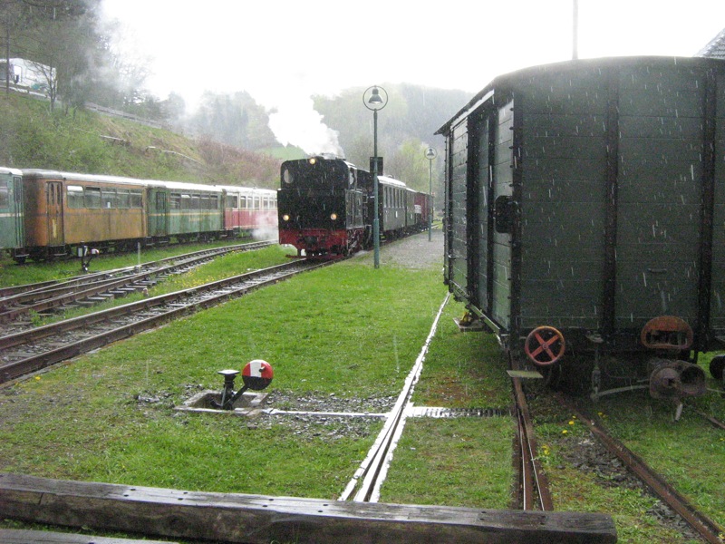 IMG_4363_Kop