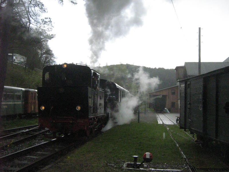 IMG_4366_Kop