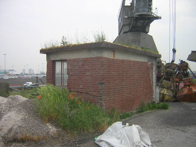 DSCN5273