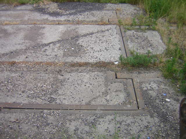 DSCN5276
