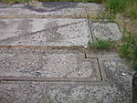 2990DSCN5276.JPG