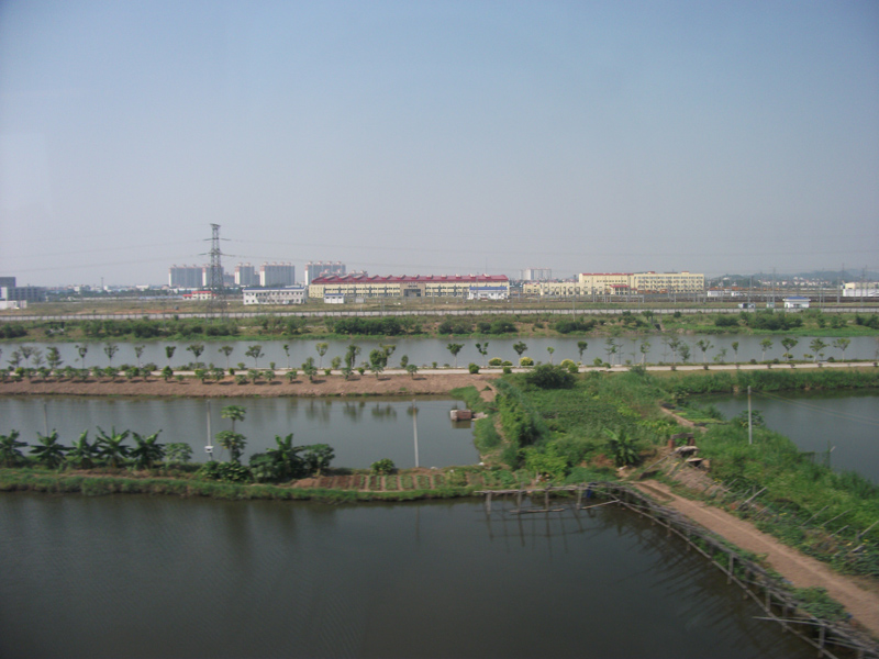 Shenzhen_Wuhan_16_