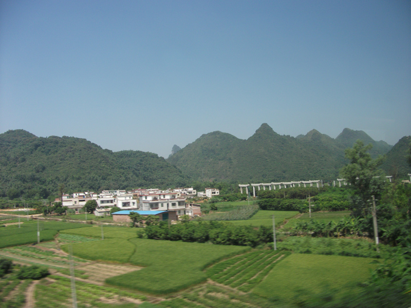 Shenzhen_Wuhan_24_