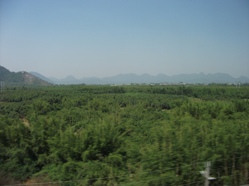 Shenzhen_Wuhan_25_