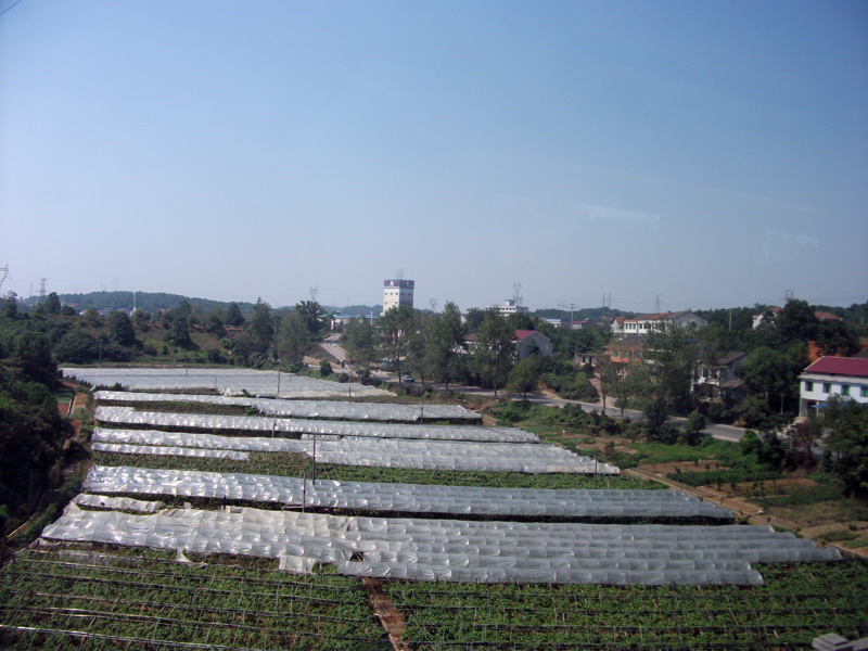 Shenzhen_Wuhan_27_