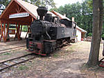 547Kasz_5.jpg