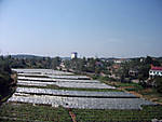 547Shenzhen_Wuhan_27_.jpg