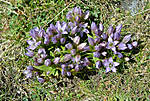 547schneebergDSC_2083.jpg