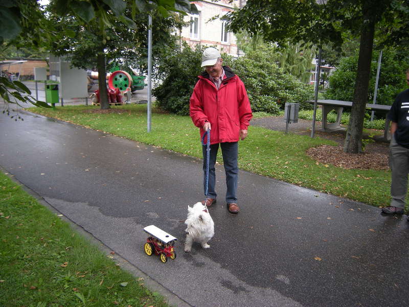 Skebtischer Hund