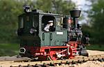 3121IMG_6909.JPG