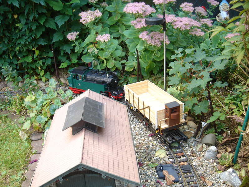 DSC05801