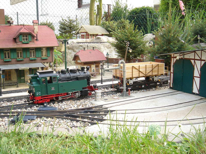 DSC05805