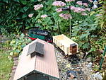 3557DSC05801.JPG